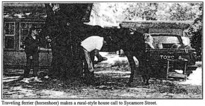Travelling ferrier (horseshoer) makes a rural-style house call on Sycamore Street